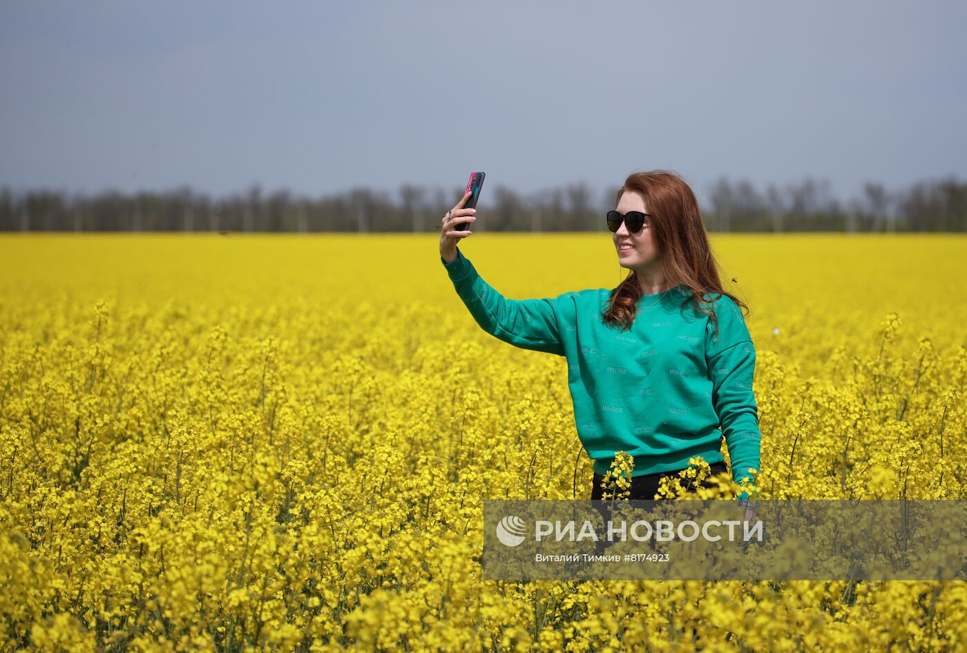 Цветение рапса в Краснодарском крае