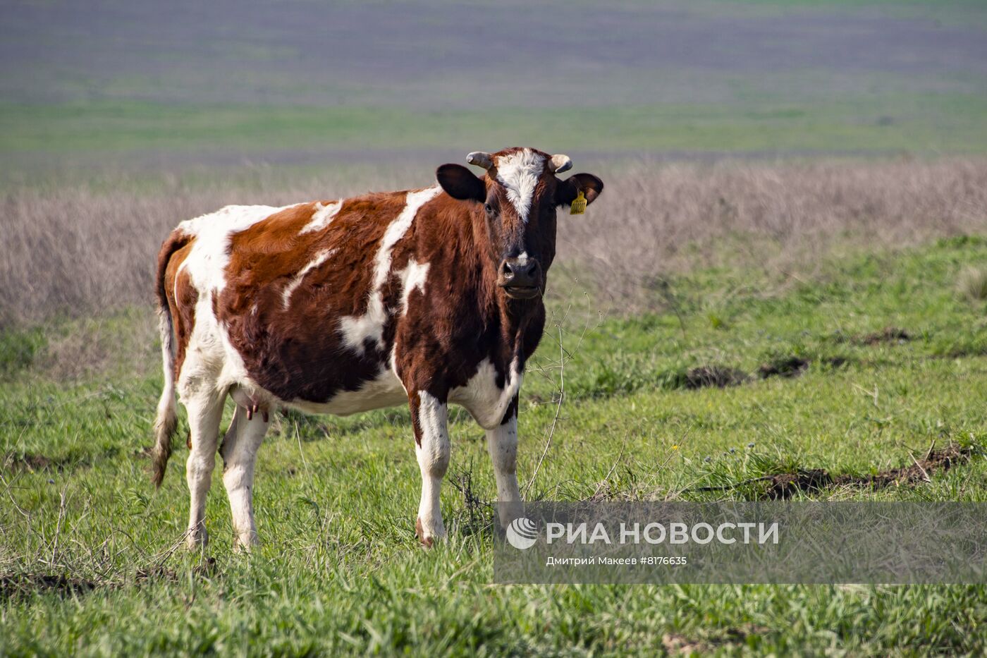 Опукский природный заповедник в Крыму