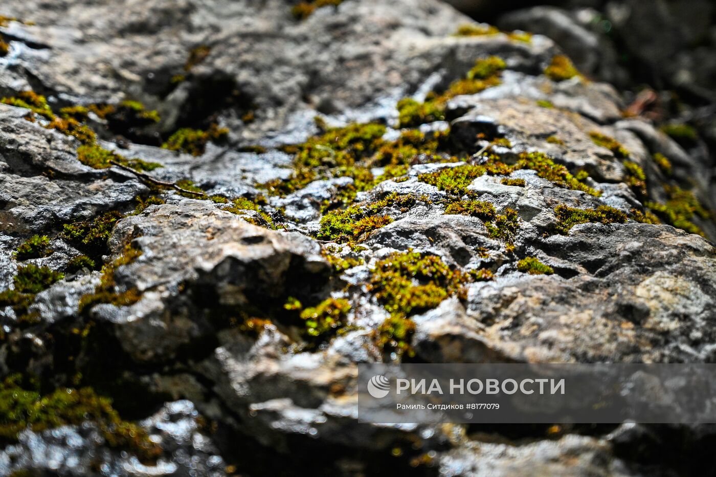 #ОткрываяРоссию. Крым