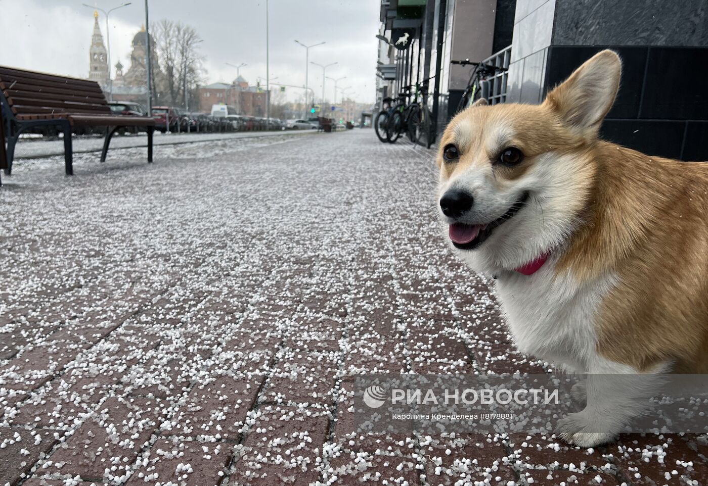 Весенний снегопад в Санкт-Петербурге