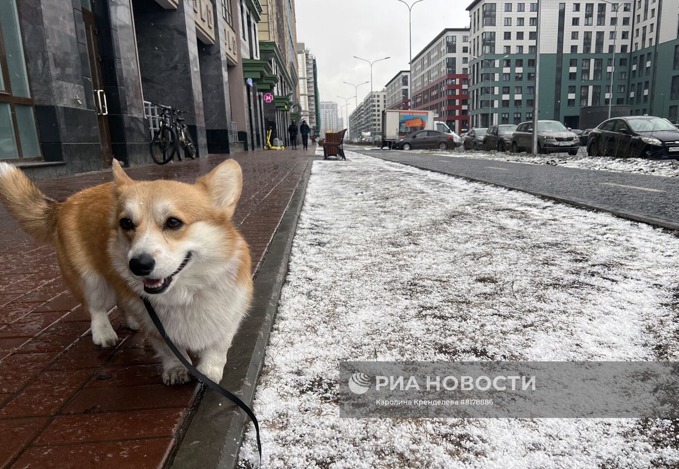 Весенний снегопад в Санкт-Петербурге