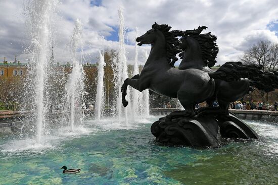 В Москве открылся сезон фонтанов