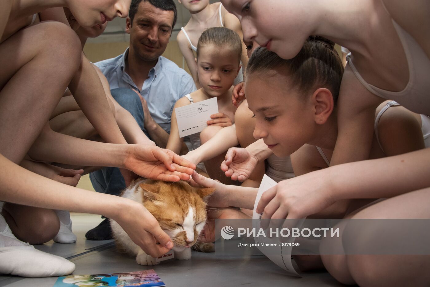 Кот Мостик посетил Академию хореографии в Крыму