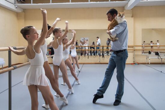 Кот Мостик посетил Академию хореографии в Крыму