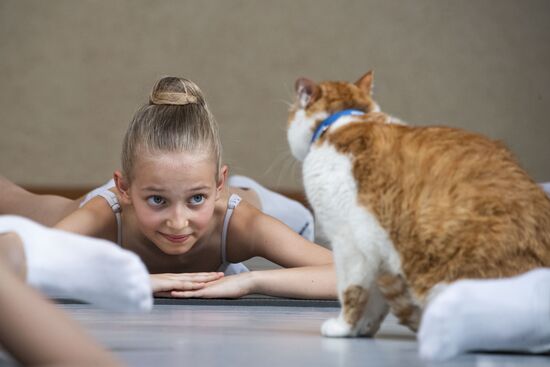 Кот Мостик посетил Академию хореографии в Крыму