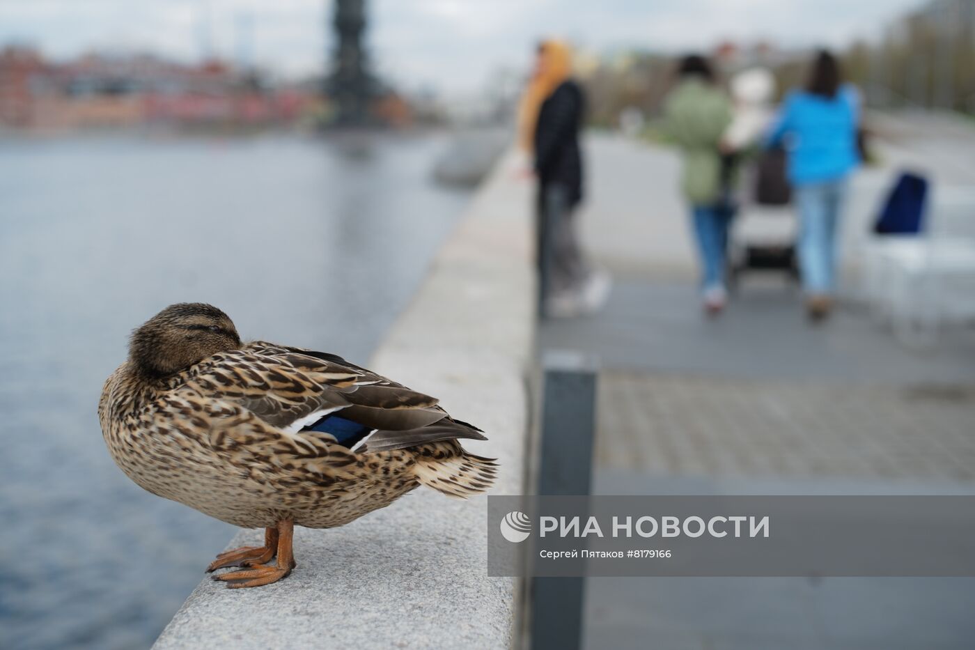 Повседневная жизнь