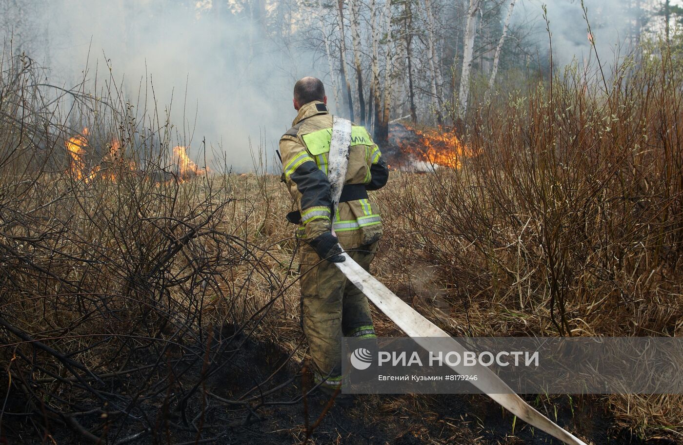 Природные пожары в Курганской области