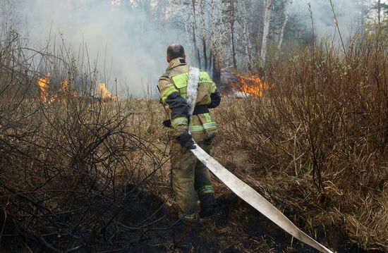 Природные пожары в Курганской области
