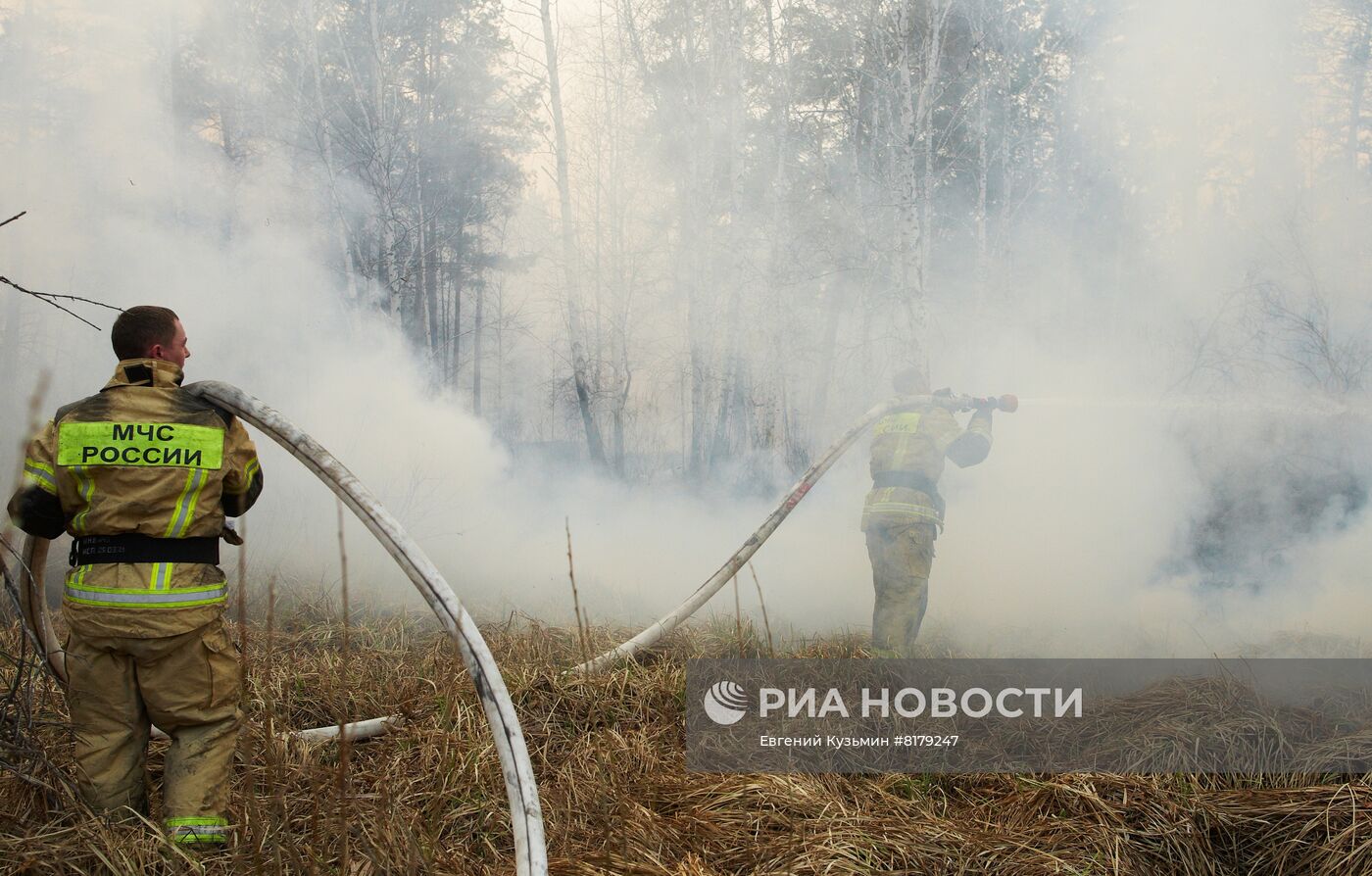 Природные пожары в Курганской области