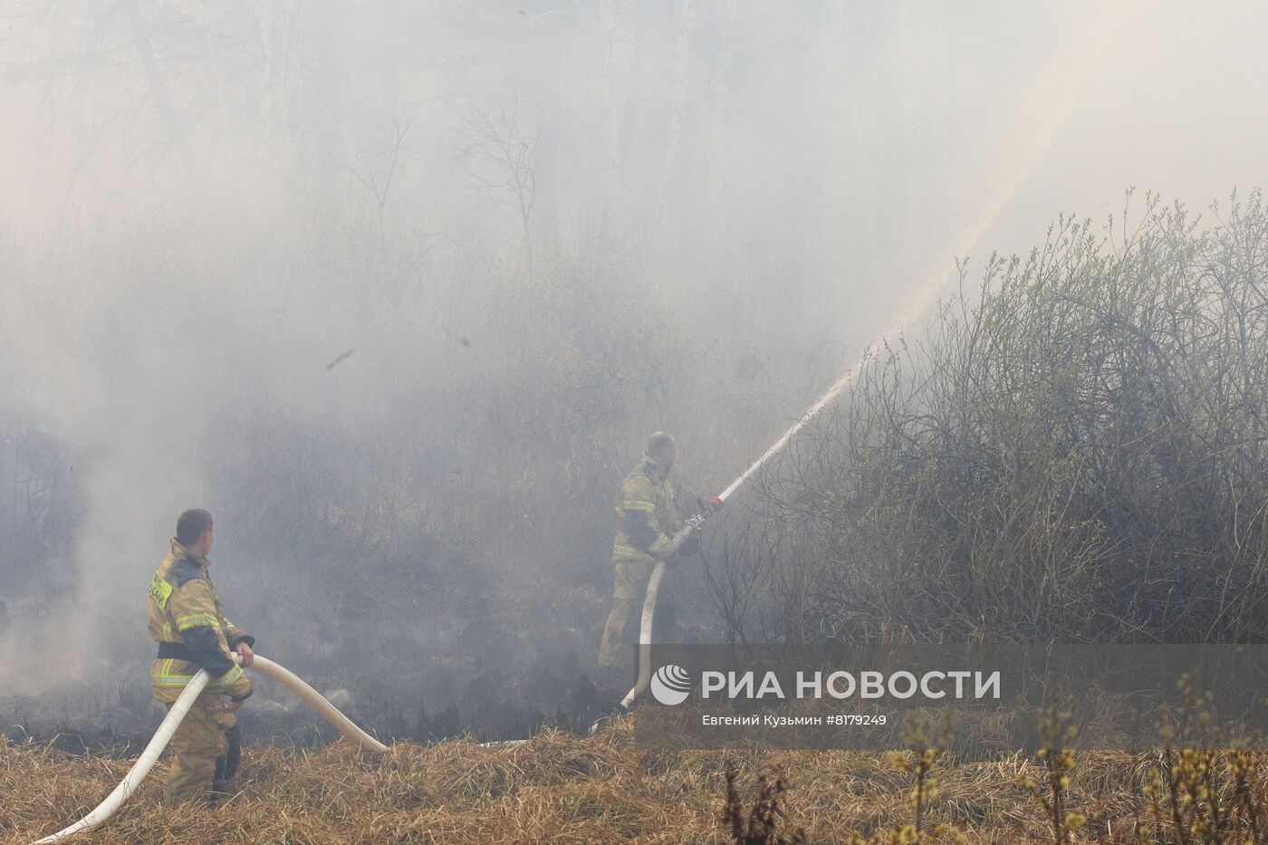 Природные пожары в Курганской области