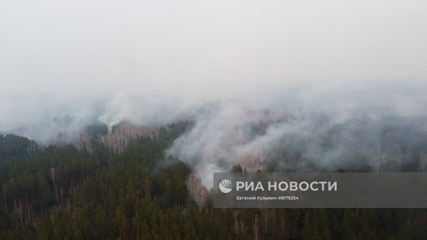 Природные пожары в Курганской области