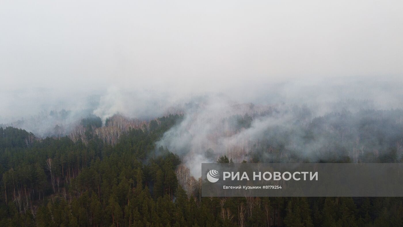 Природные пожары в Курганской области
