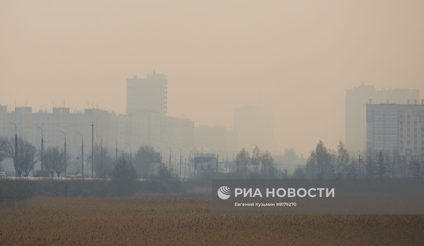 Природные пожары в Курганской области