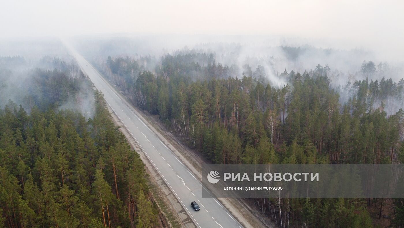 Природные пожары в Курганской области