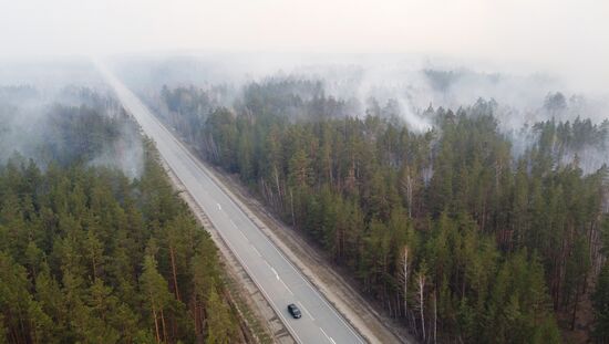 Природные пожары в Курганской области