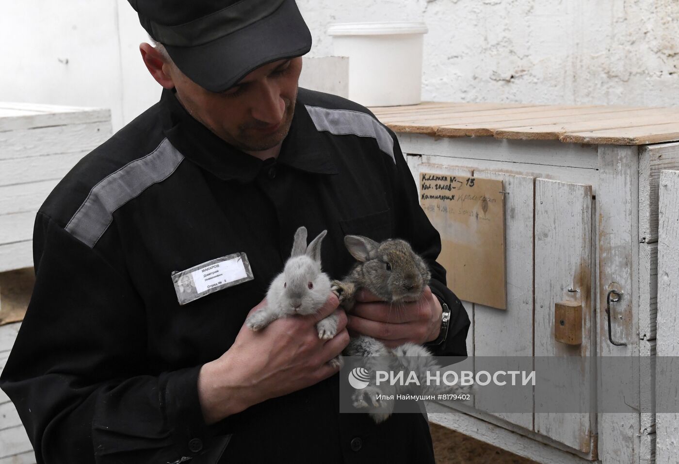 Содержание заключенных в колонии особого режима в Красноярском крае