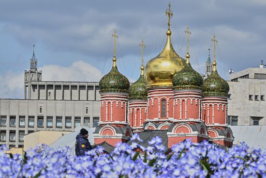 Проект "Волны цветения" в парке "Зарядье"