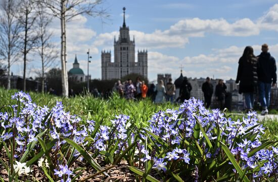 Проект "Волны цветения" в парке "Зарядье"