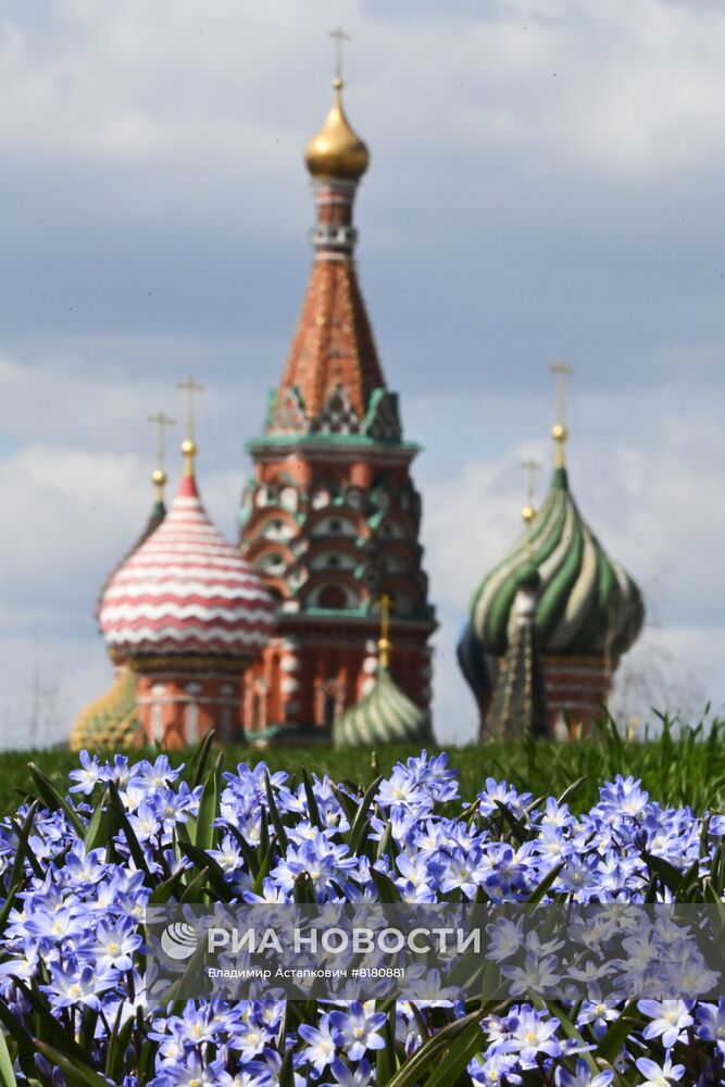 Проект "Волны цветения" в парке "Зарядье"