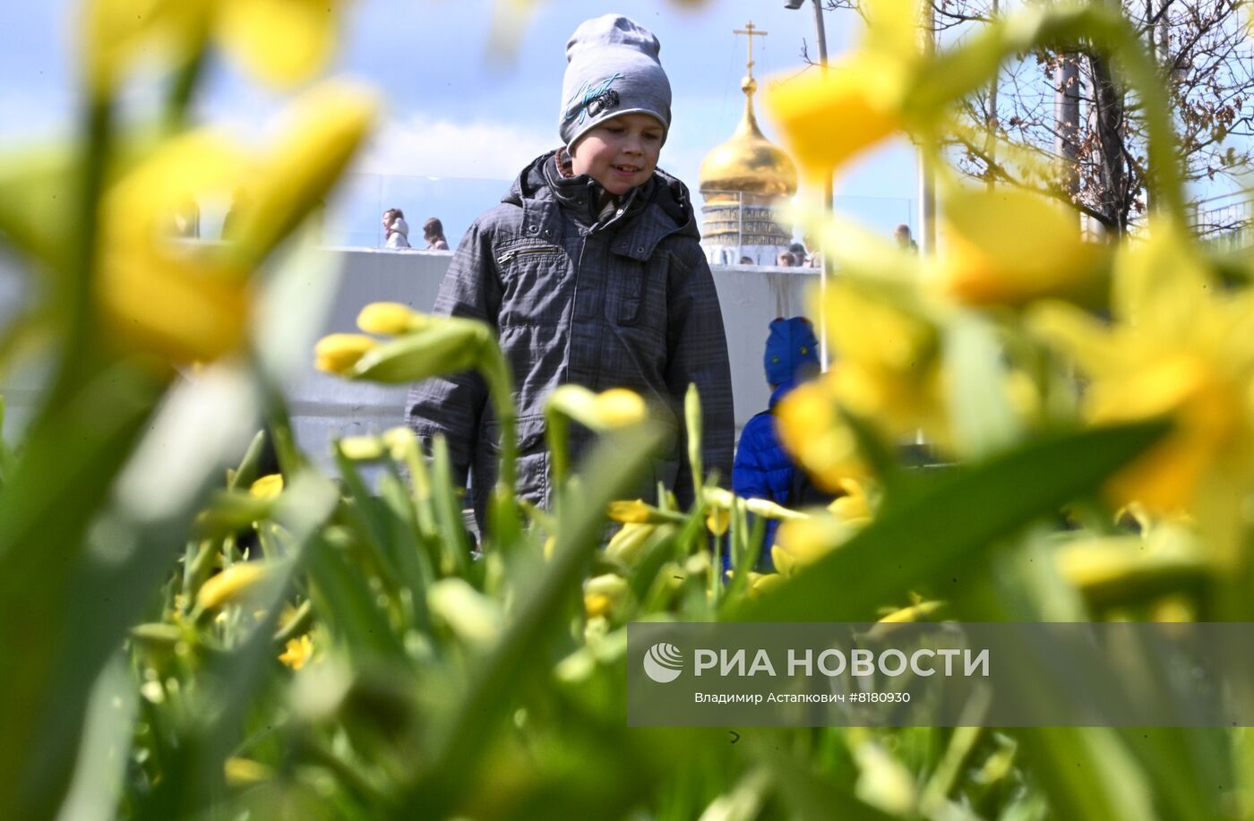 Проект "Волны цветения" в парке "Зарядье"