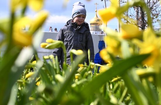 Проект "Волны цветения" в парке "Зарядье"