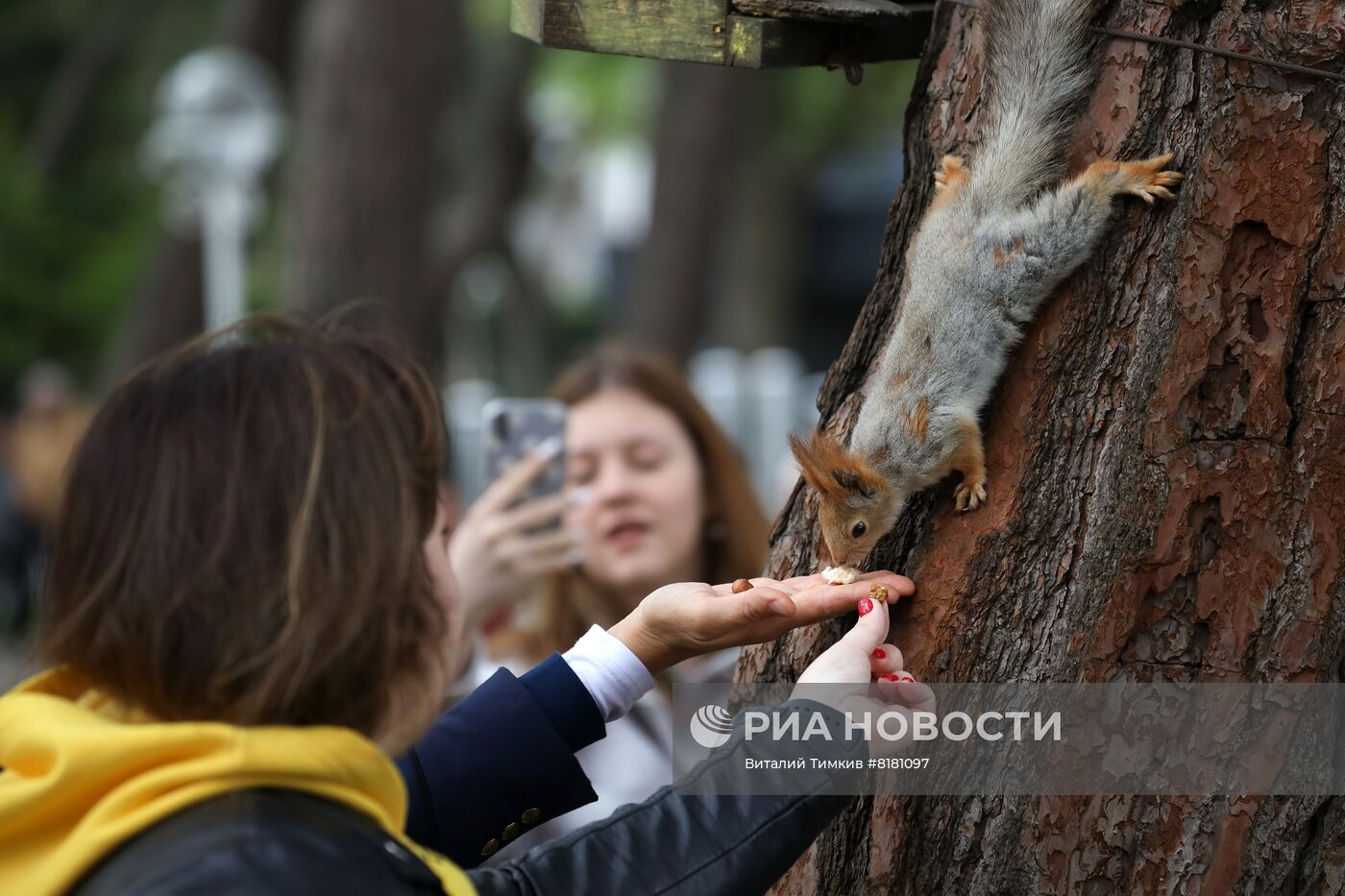 Отдых горожан в майские праздники в Геленджике