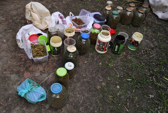 МВД ЛНР ликвидировало производство наркотиков в Харьковской области