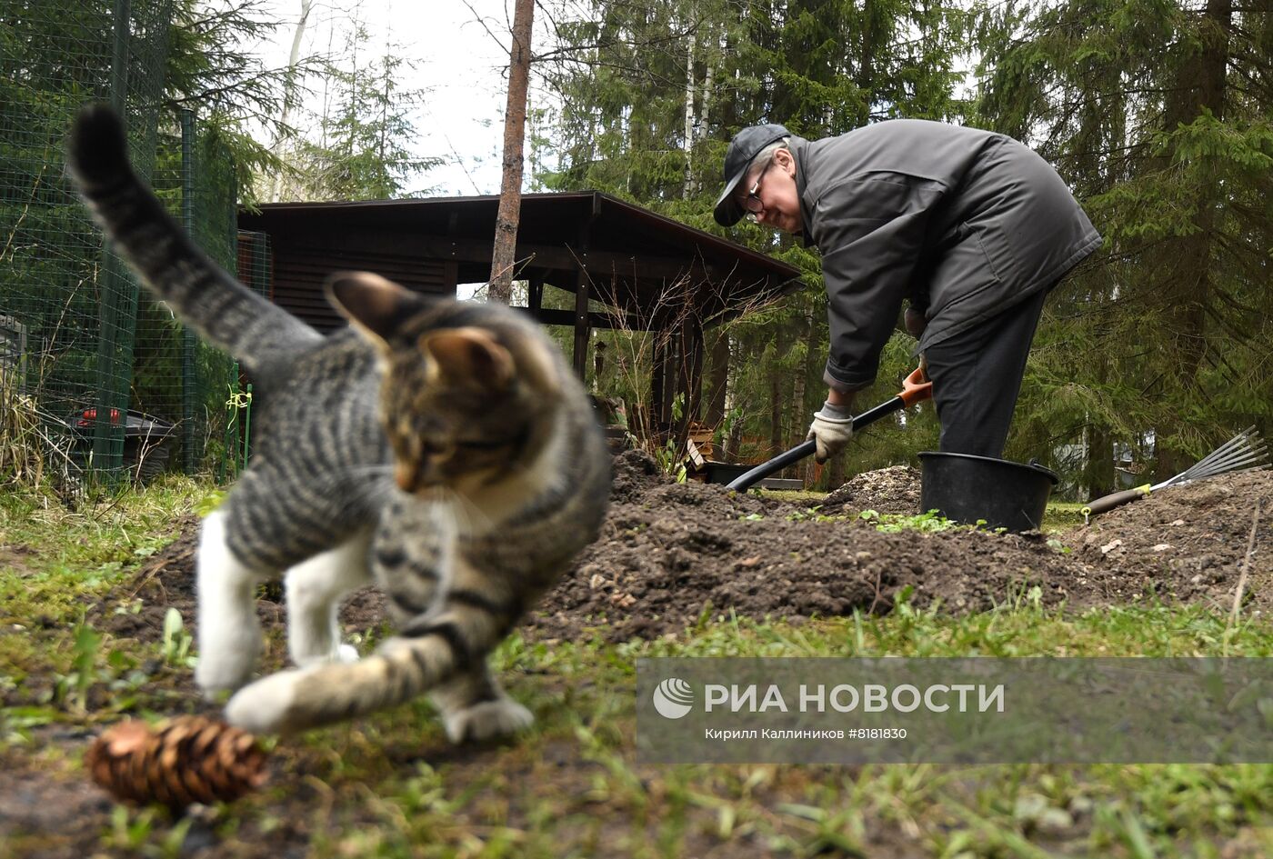 Начало сезона посадочных работ на дачных участках