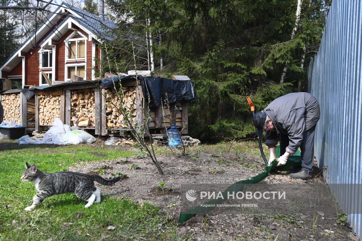Начало сезона посадочных работ на дачных участках