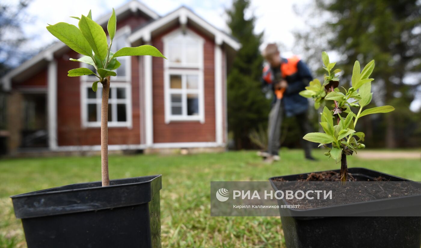 Начало сезона посадочных работ на дачных участках
