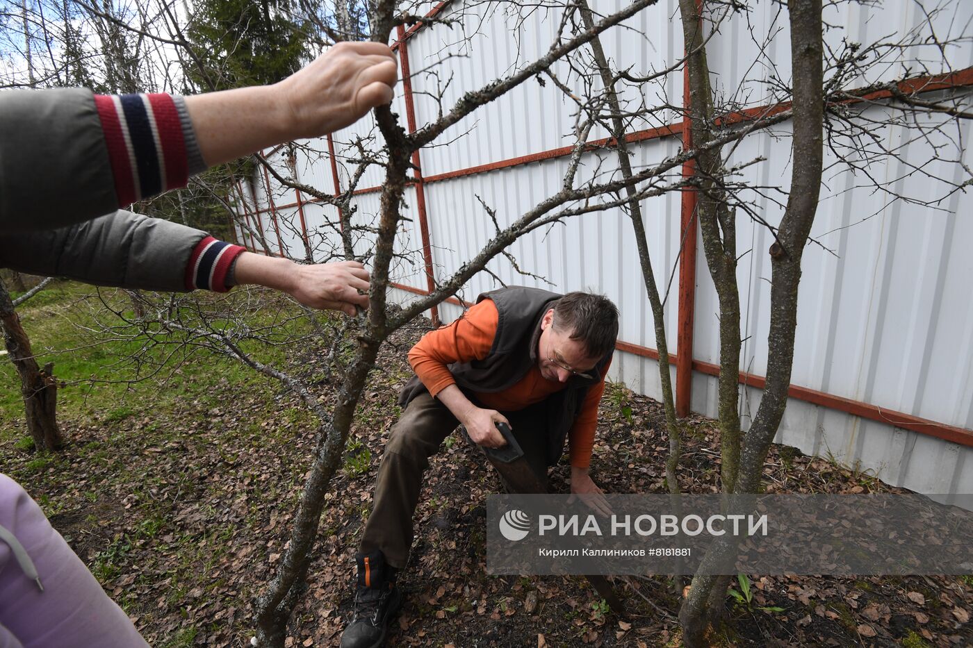 Начало сезона посадочных работ на дачных участках
