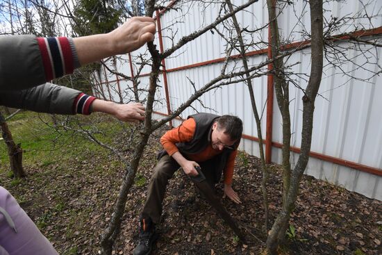 Начало сезона посадочных работ на дачных участках