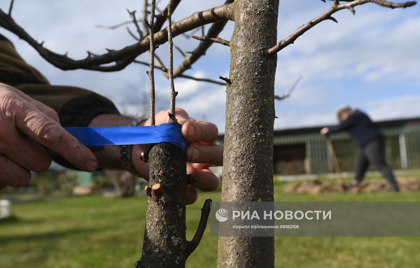 Начало сезона посадочных работ на дачных участках