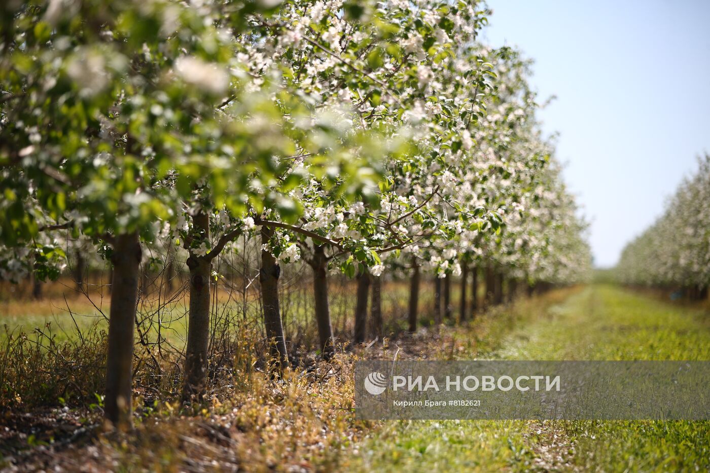 Производство напитков 