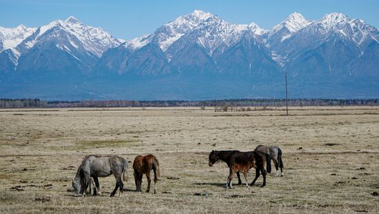 Гора Мунку-Сардык в Бурятии