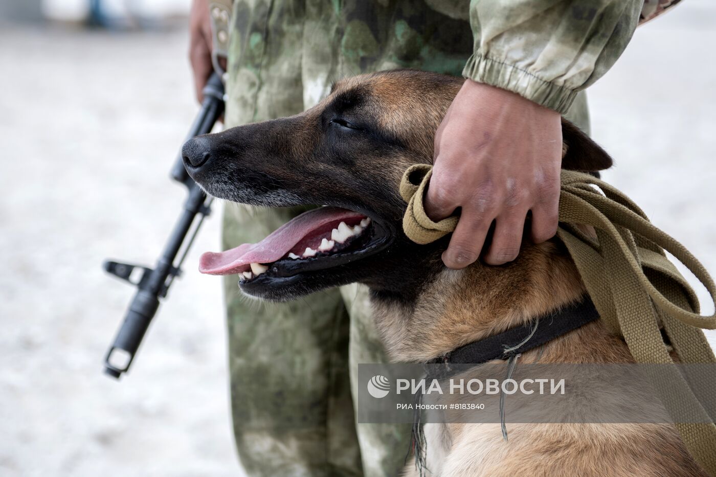 Патрулирование пляжа в Херсонской области