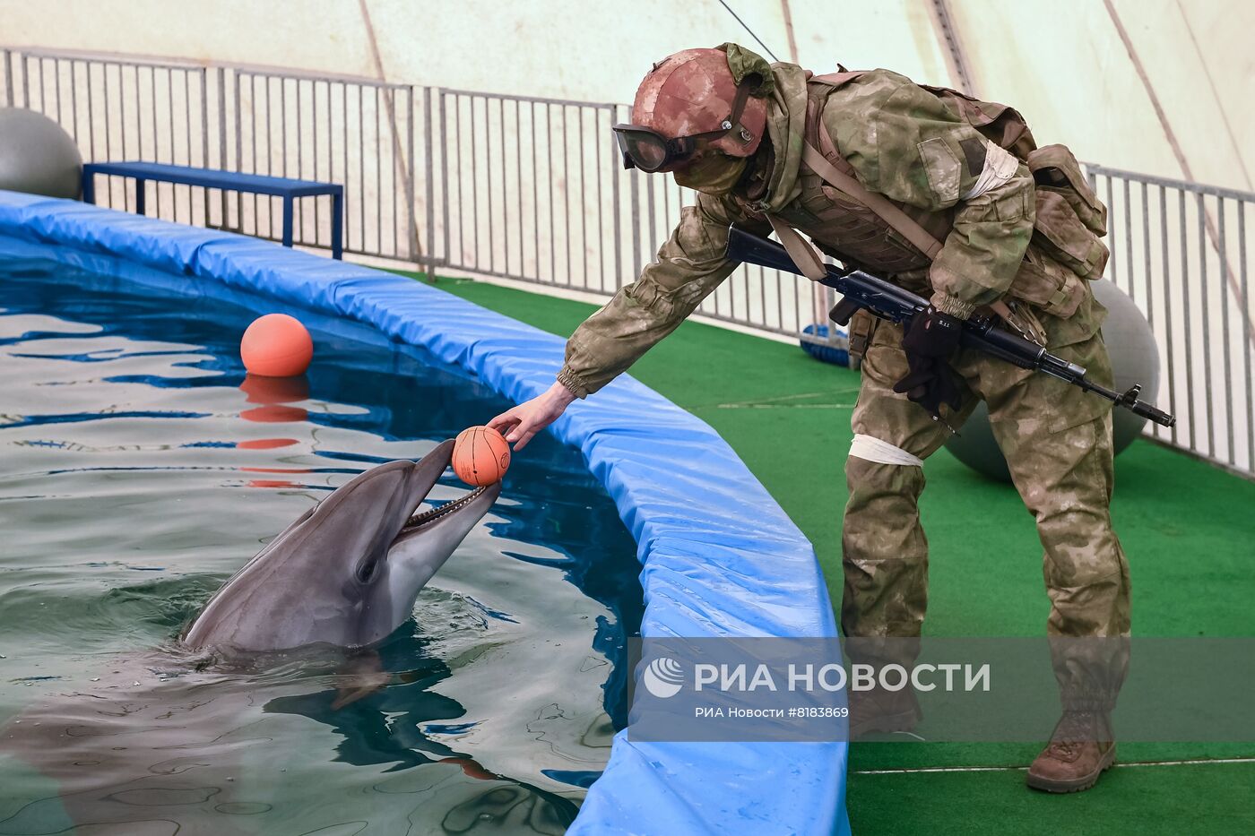 Представители Росгвардии передали запас корма в дельфинарий в Херсонской области