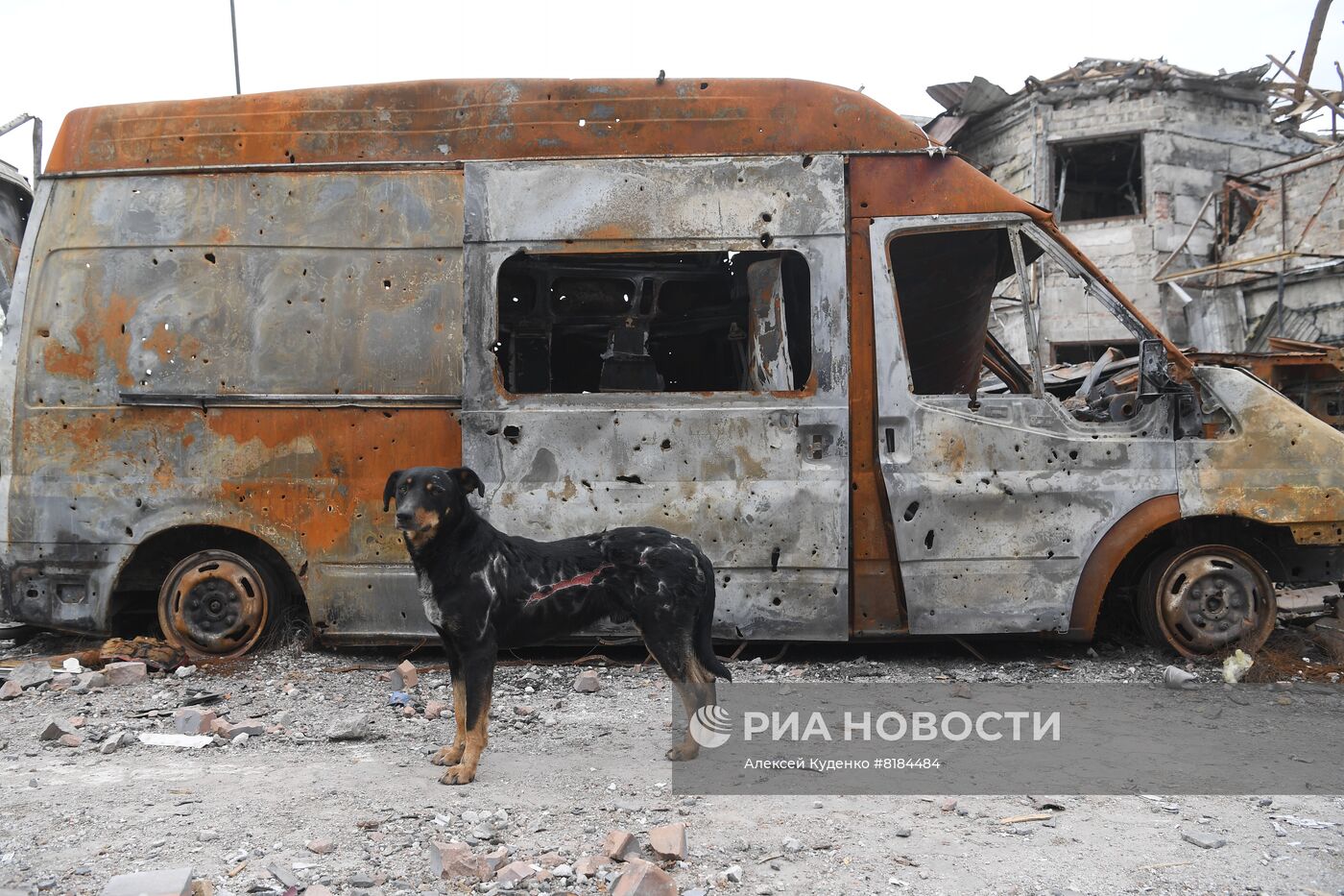 Повседневная жизнь в Мариуполе