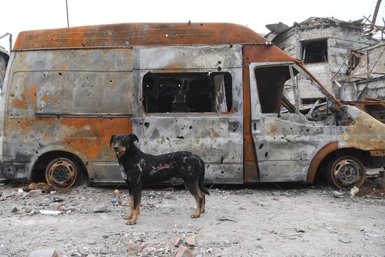 Повседневная жизнь в Мариуполе