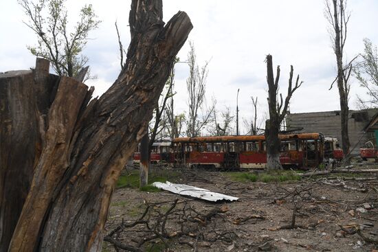 Повседневная жизнь в Мариуполе