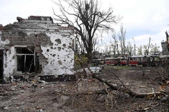 Повседневная жизнь в Мариуполе