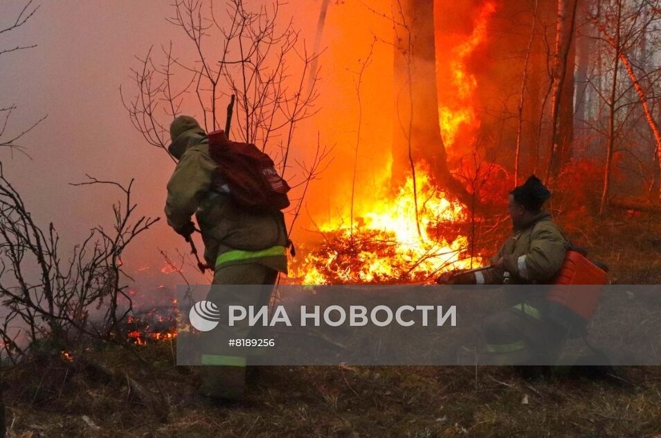 Борьба с лесными пожарами в Курганской области