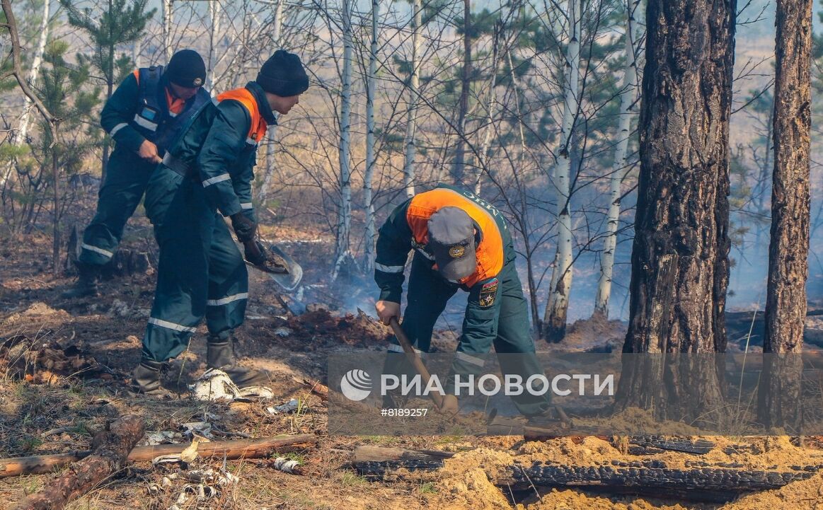 Борьба с лесными пожарами в Курганской области