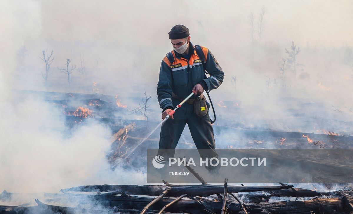 Борьба с лесными пожарами в Курганской области