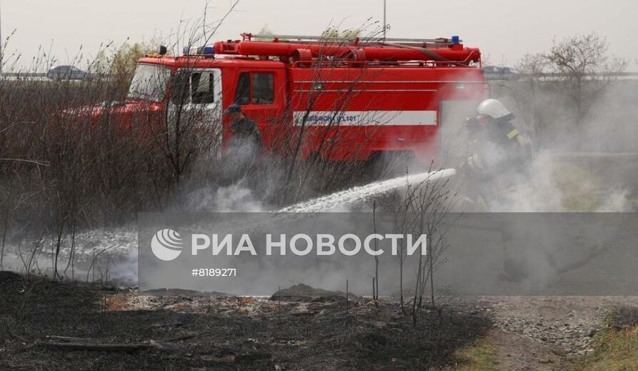 Борьба с лесными пожарами в Курганской области