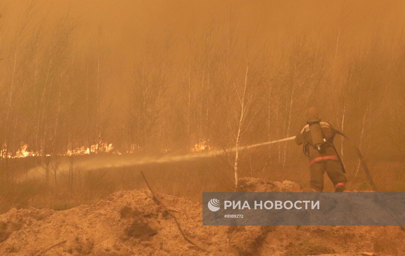 Борьба с лесными пожарами в Курганской области