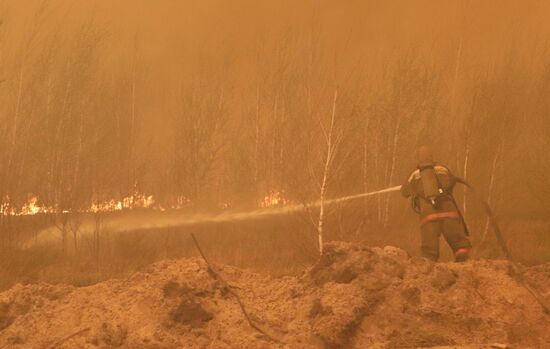 Борьба с лесными пожарами в Курганской области