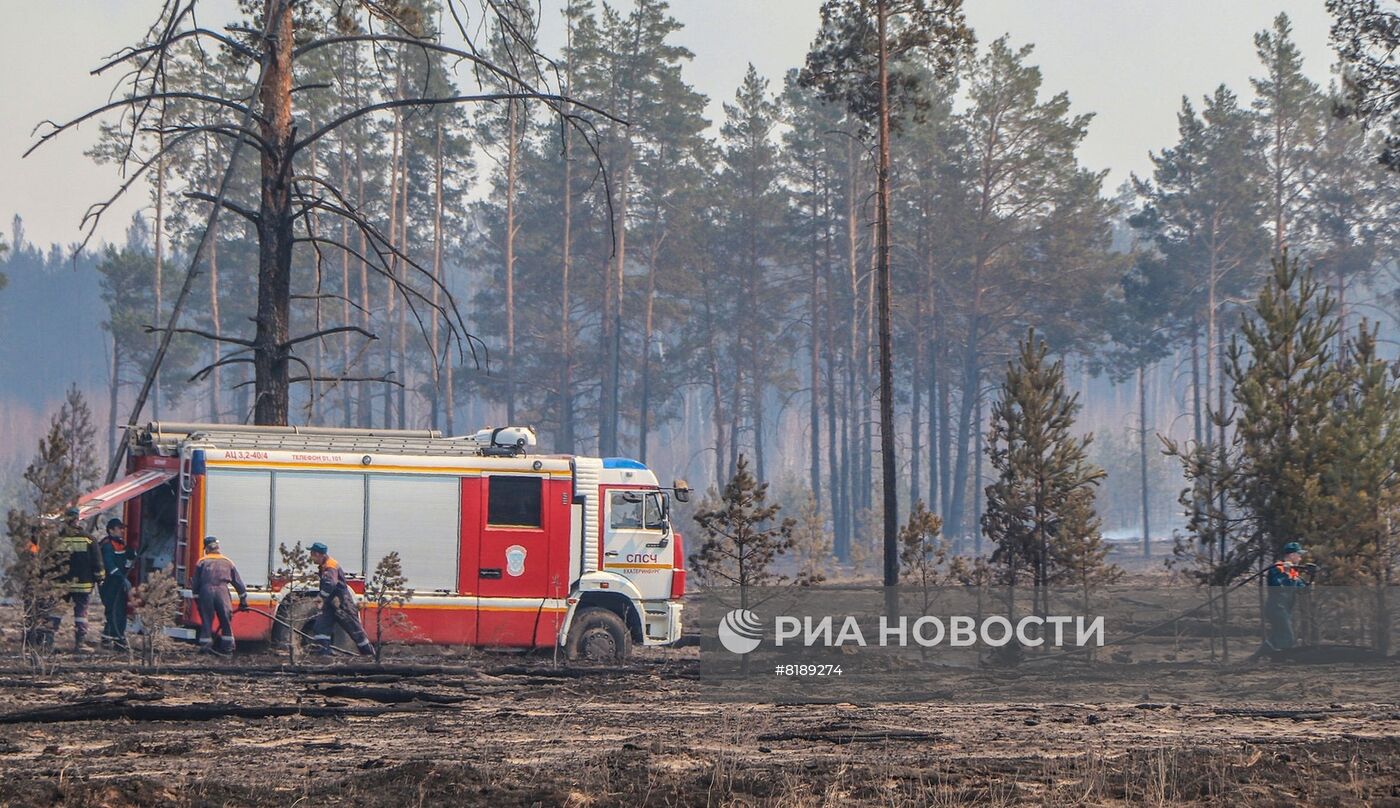 Борьба с лесными пожарами в Курганской области