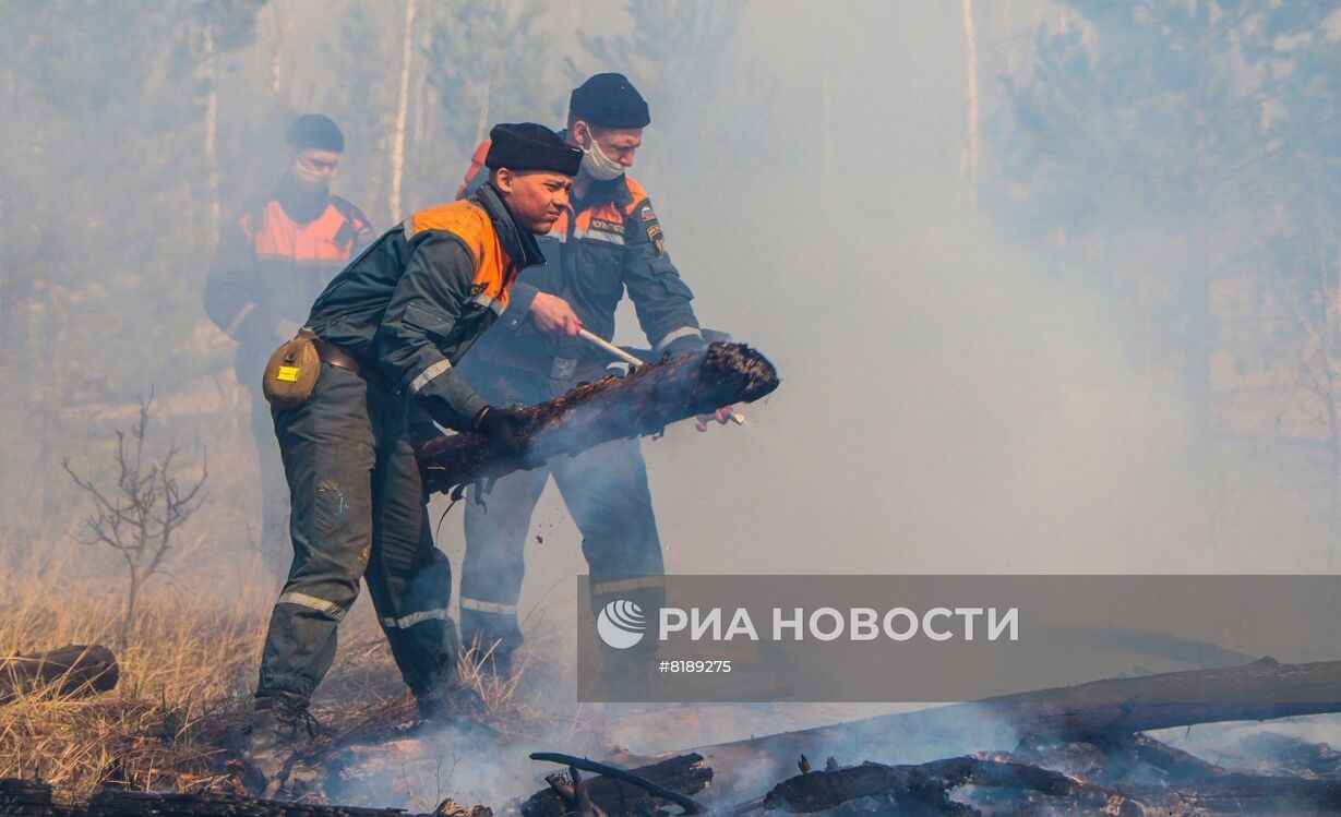 Борьба с лесными пожарами в Курганской области