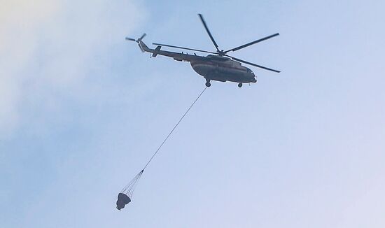 Борьба с лесными пожарами в Курганской области